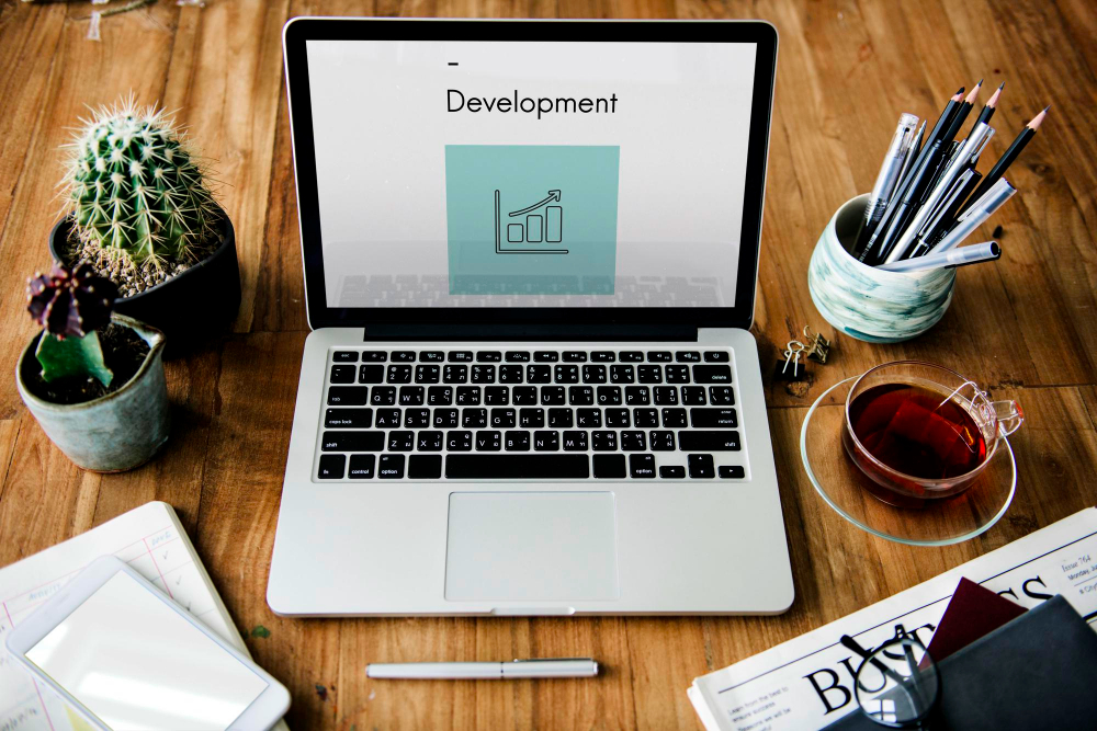 WordPress Development Projects